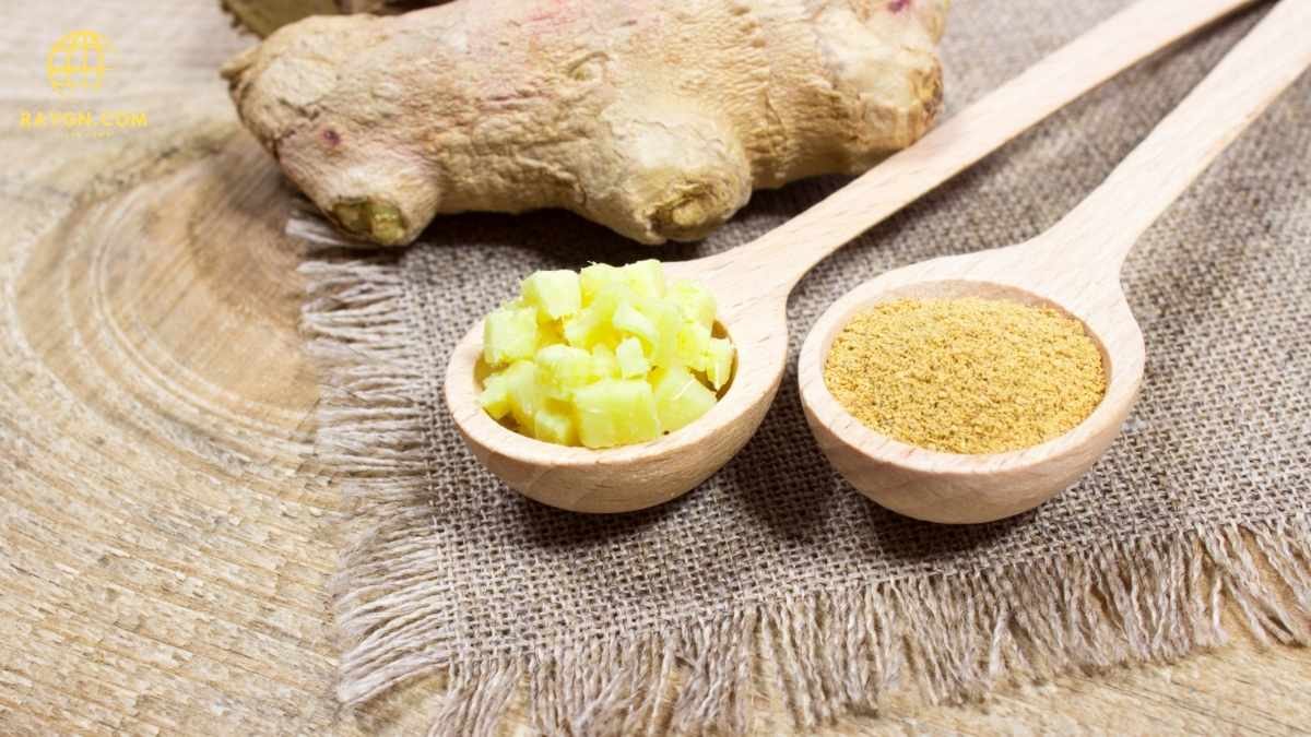 Ginger Benefits: What Is Ginger Good For? Health Uses Explained