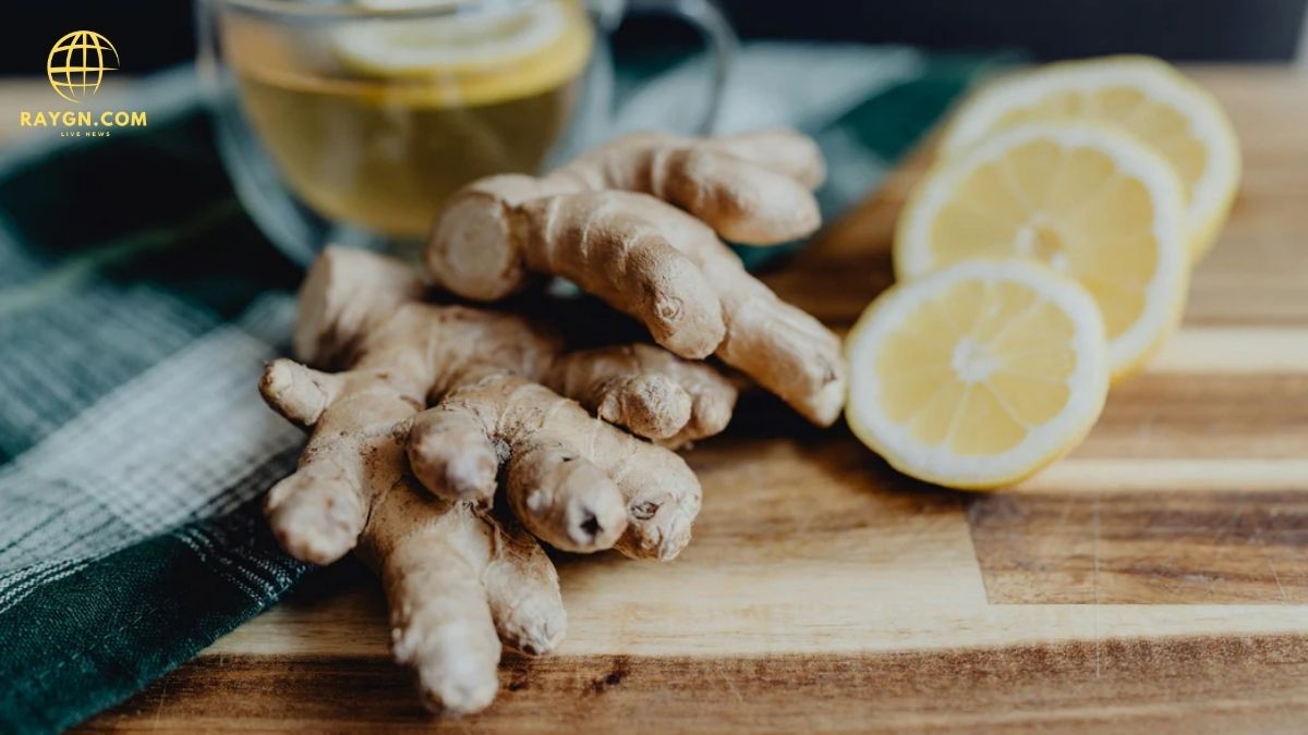 Ginger Benefits: What Is Ginger Good For? Health Uses Explained