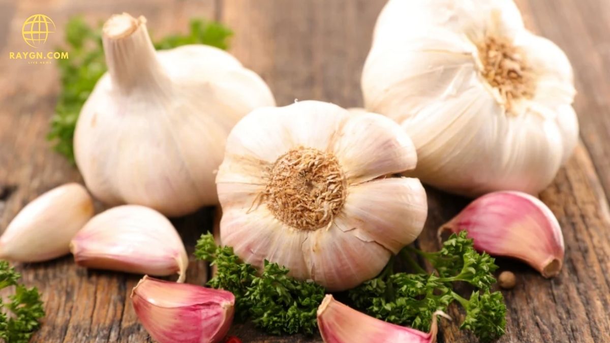 Benefits of Garlic Cloves: Health Advantages and Uses Explained