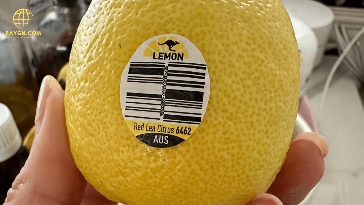 What Do the Numbers on Fruit Stickers Really Mean? Understanding Produce Codes