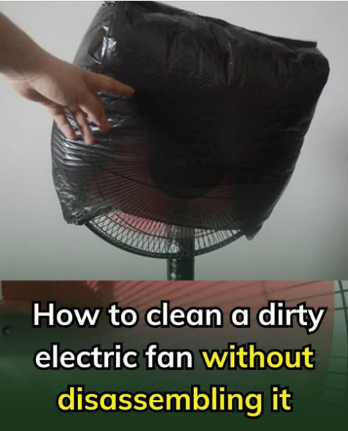 Put it in a plastic bag for 2 minutes, and the dust will fall off