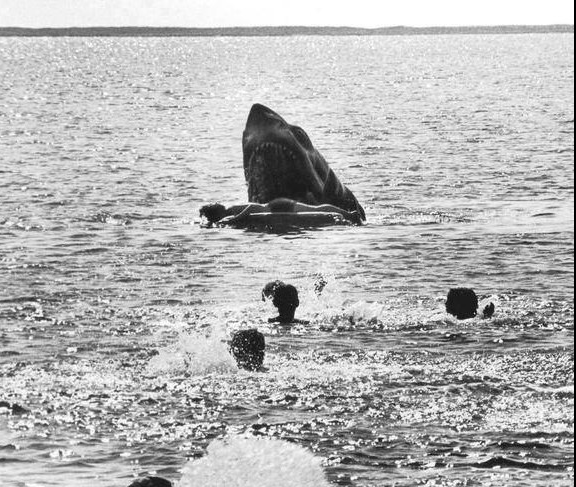 Deleted Jaws scene: The shark attack you never saw