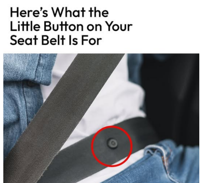 The buttons on your seatbelt have an important purpose