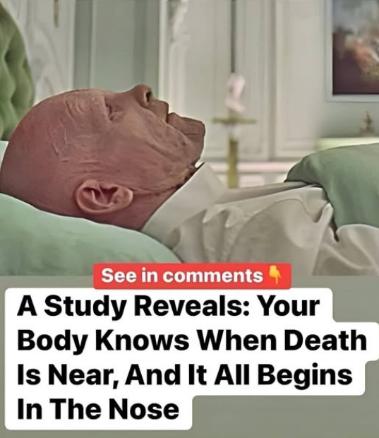 The Body Knows When Passing Away is Near, Starting with Changes in the Nose